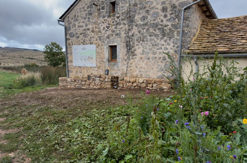 Pose manuelle des pierres pour un mur traditionnel