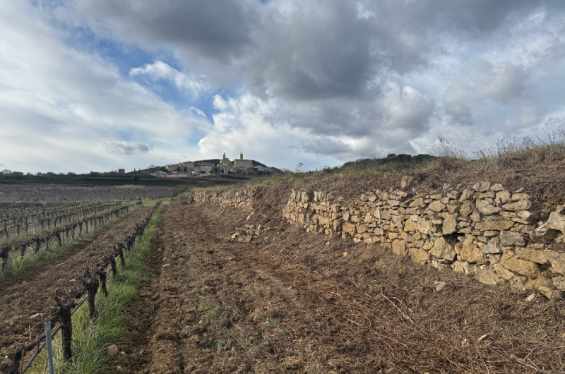 Entretient débroussaillage mur en pierre